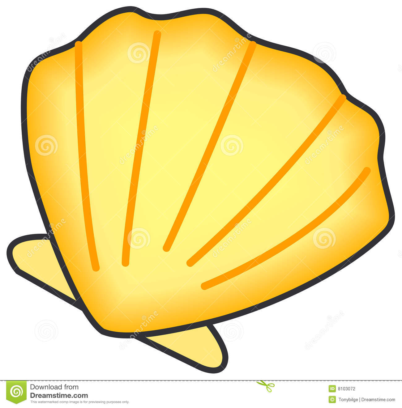 Seashells Cartoon Drawings At Evelyn Council Blog
