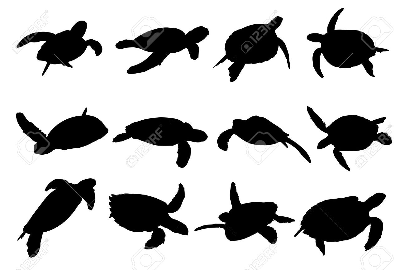 Sea Turtle Silhouette Free Download On Clipartmag