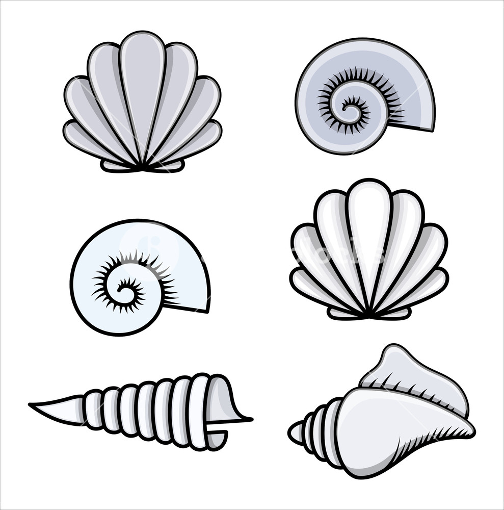 seashell-line-art-free-download-on-clipartmag