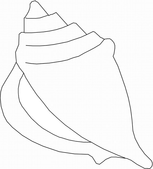 Seashells Clipart Black And White | Free download on ClipArtMag