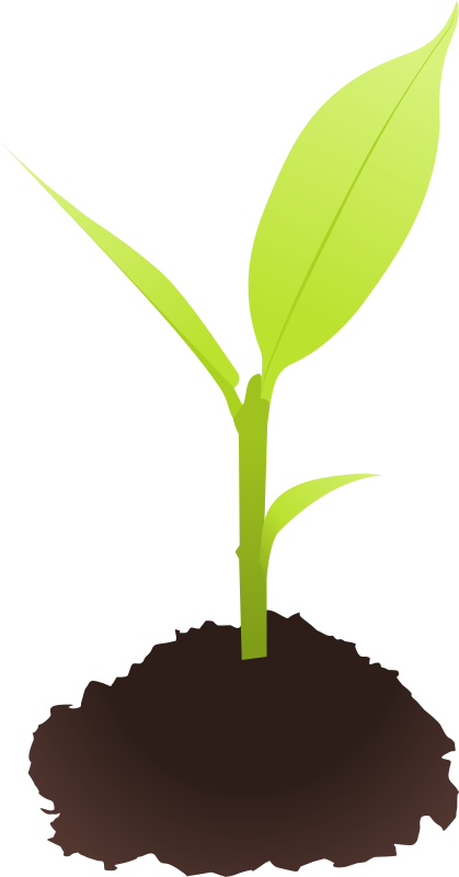Seedling Clipart | Free download on ClipArtMag