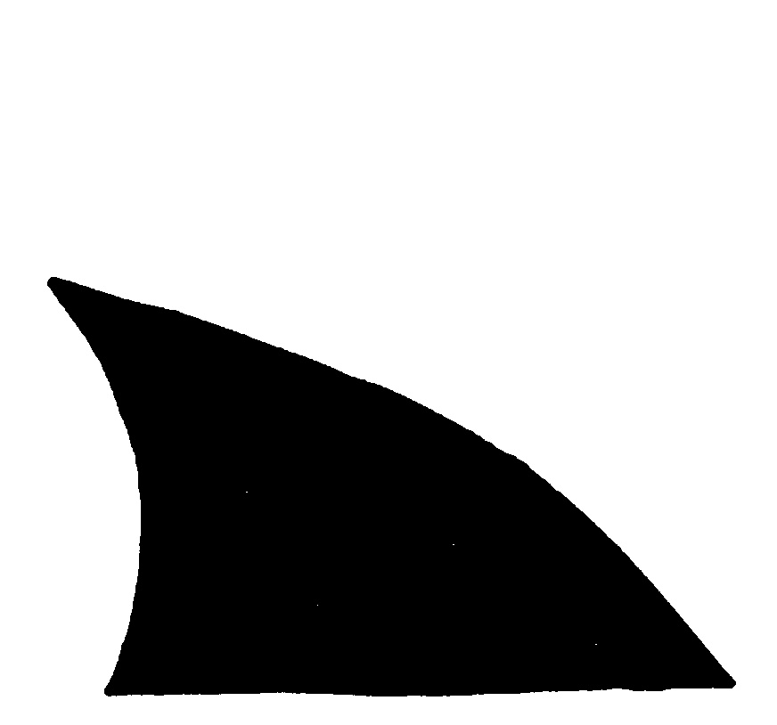 Shark Fin Outline Free download on ClipArtMag