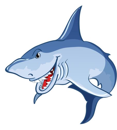 Sharks Clipart 