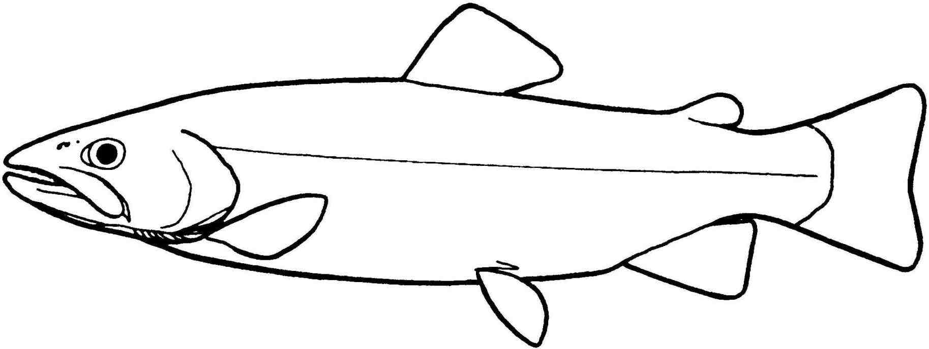 Simple Fish Drawing | Free download on ClipArtMag