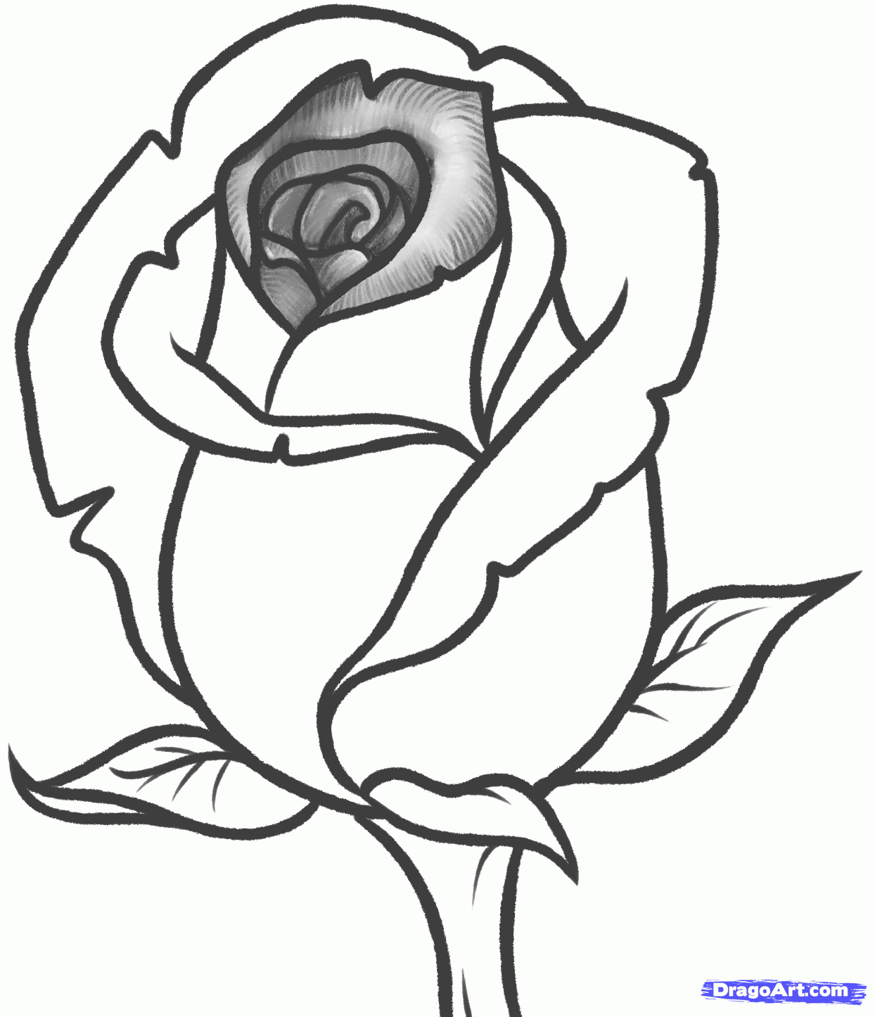 Simple Rose Drawings | Free download on ClipArtMag