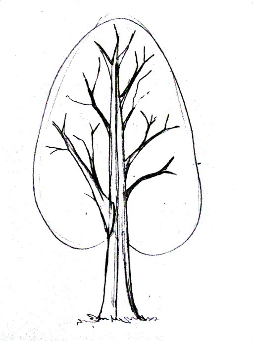 Simple Tree Drawings | Free download on ClipArtMag