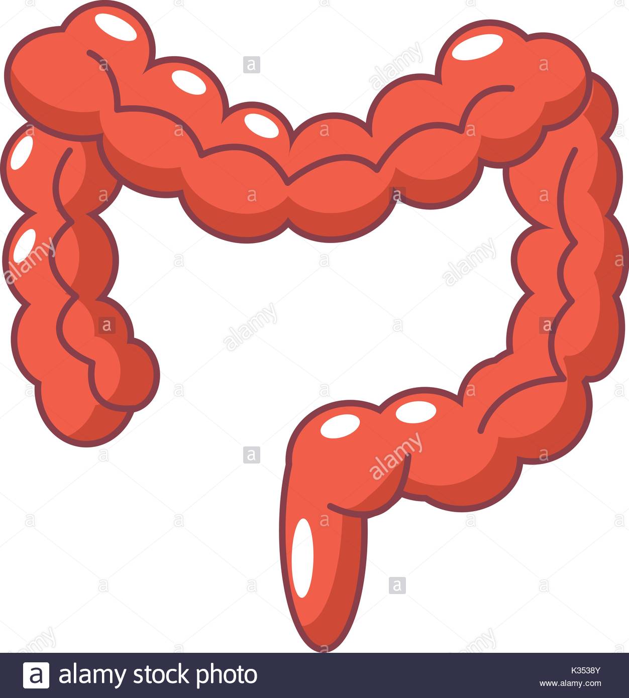 Small Intestine Clipart | Free download on ClipArtMag