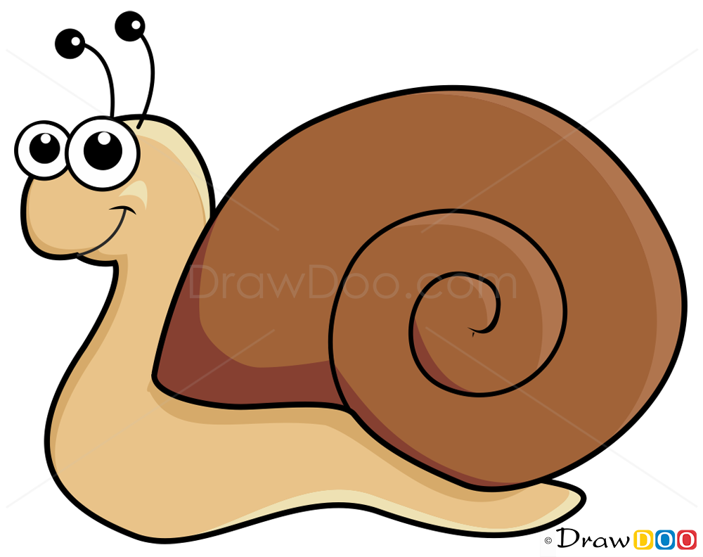 Snail Drawing Free download on ClipArtMag
