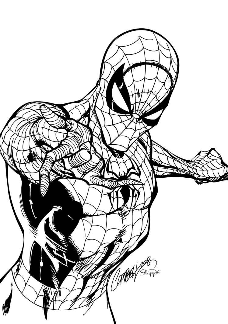 Spiderman Line Art Free download on ClipArtMag