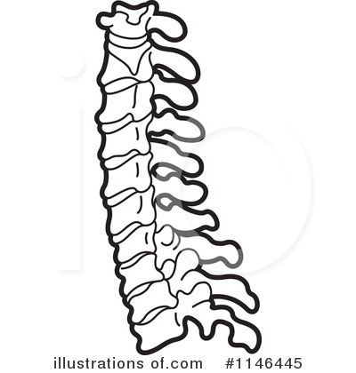 Spine Clipart | Free download on ClipArtMag