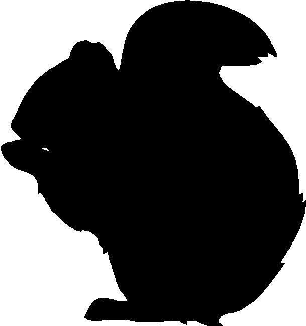 Squirrel Outline Free Download On ClipArtMag