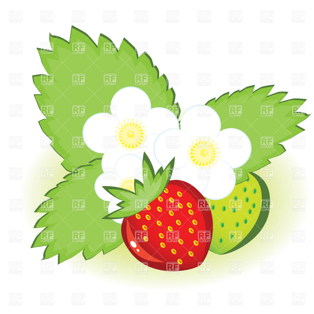 Strawberry Vine Clipart Free download on ClipArtMag