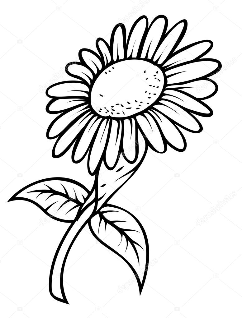 Sunflower Black And White Clipart Free download on