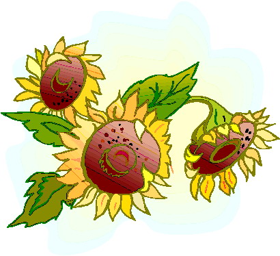 410x374 free sunflower border clipart image