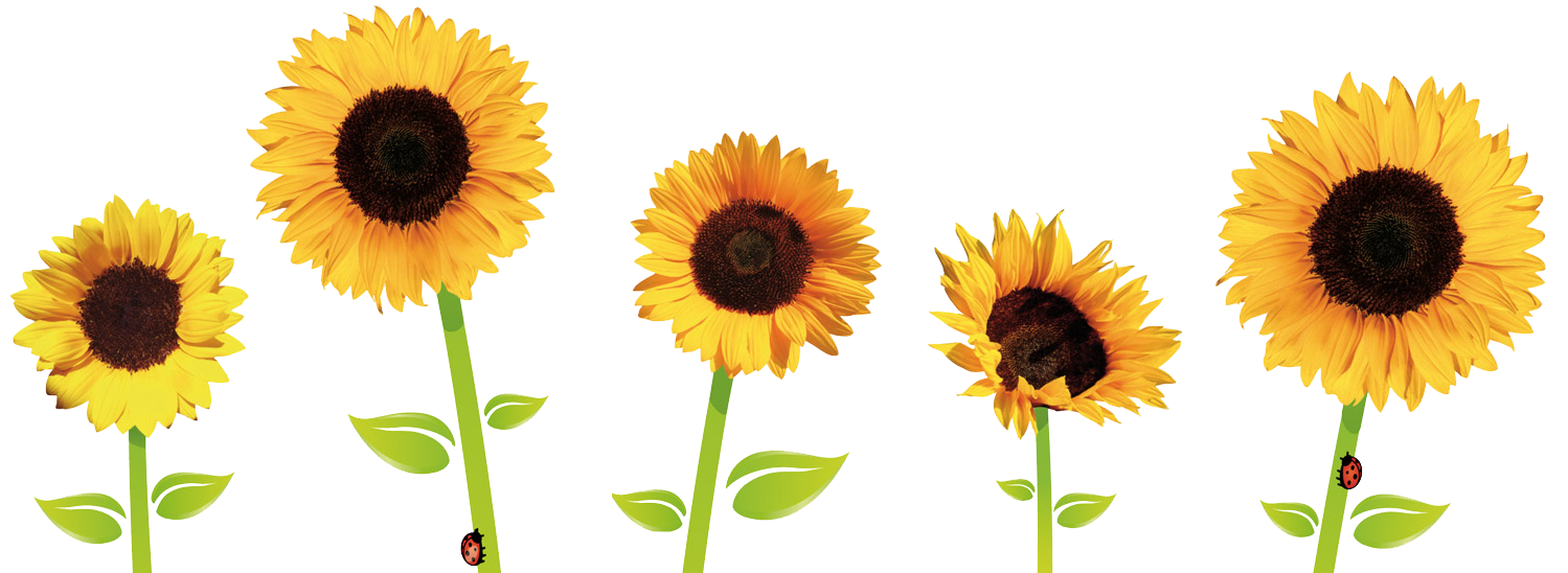 Sunflower Border Clipart | Free download on ClipArtMag
