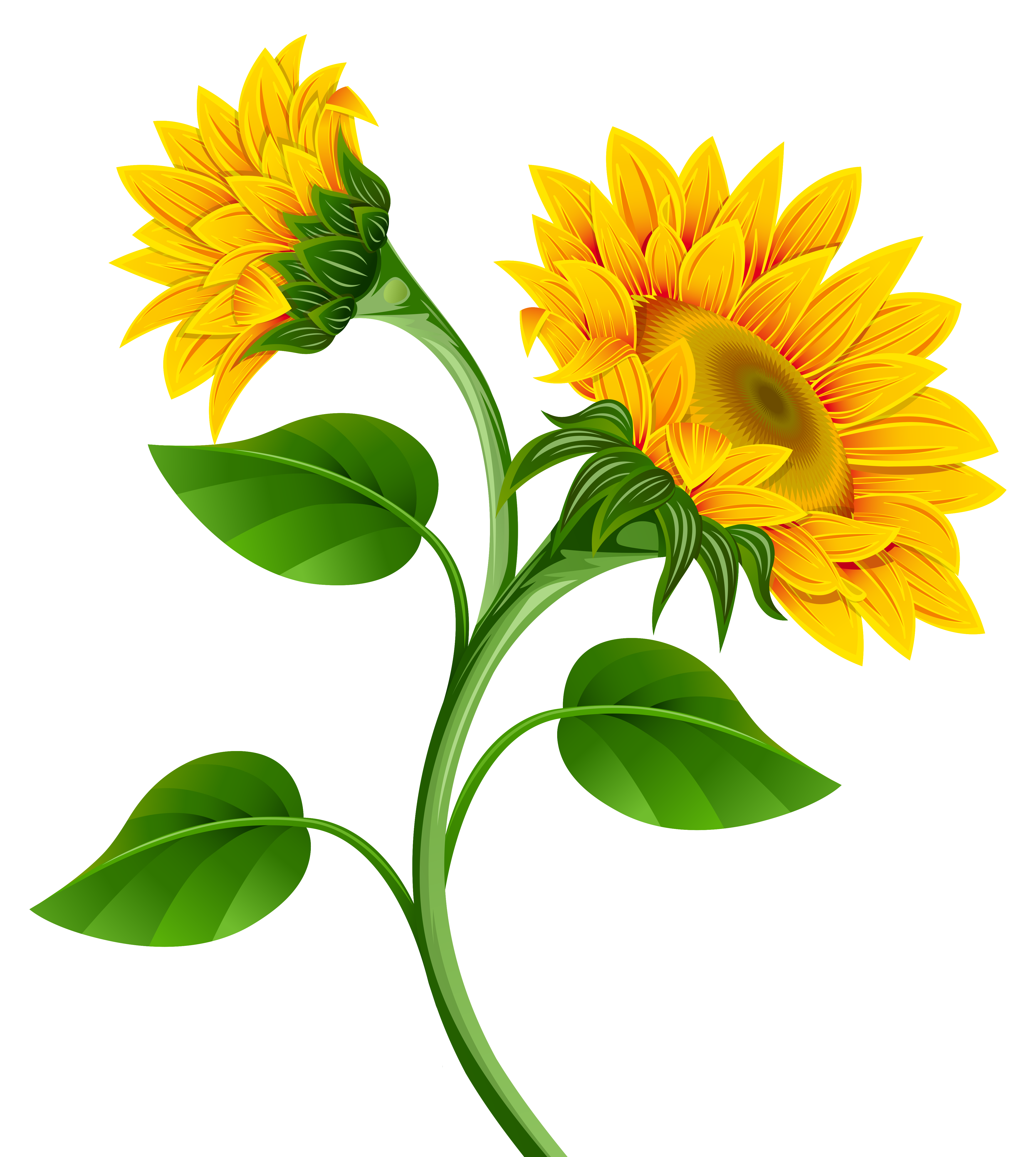 Sunflower Clipart | Free download on ClipArtMag