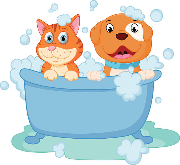 Collection of Wet clipart | Free download best Wet clipart on