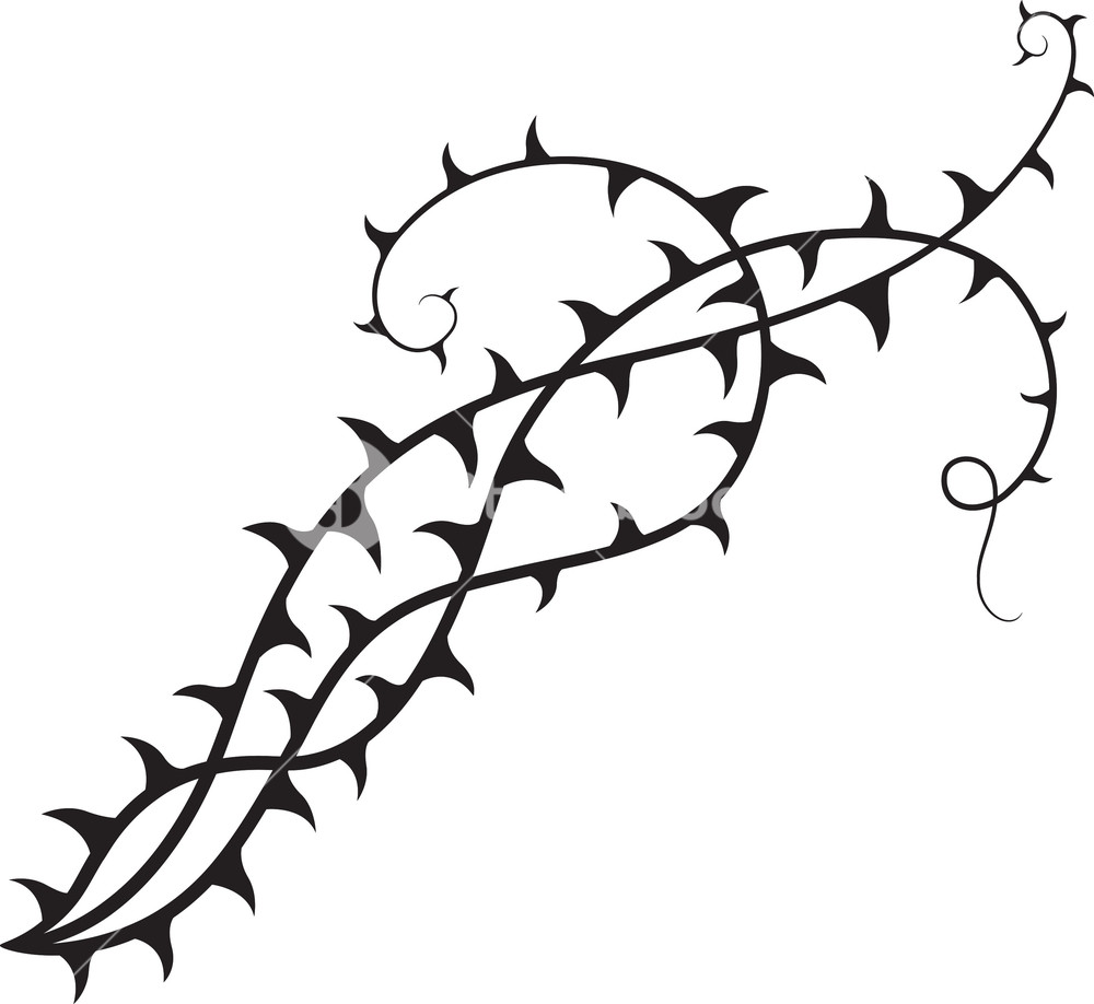 Collection of Thorn clipart | Free download best Thorn clipart on
