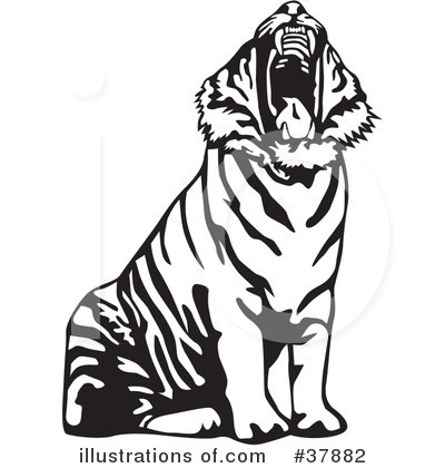 Tiger Clipart Black And White | Free download on ClipArtMag