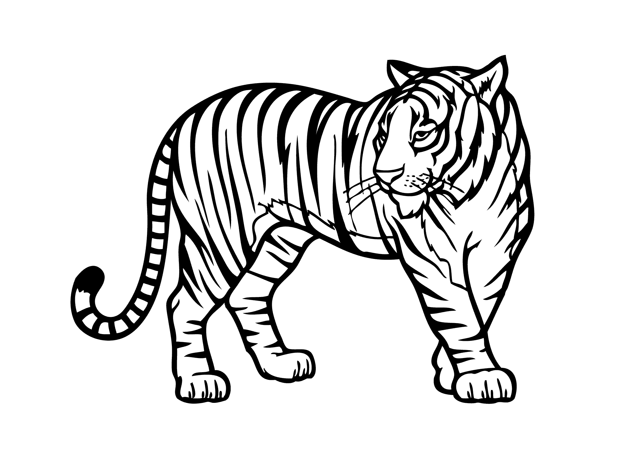 Tiger Coloring Pages | Free download on ClipArtMag