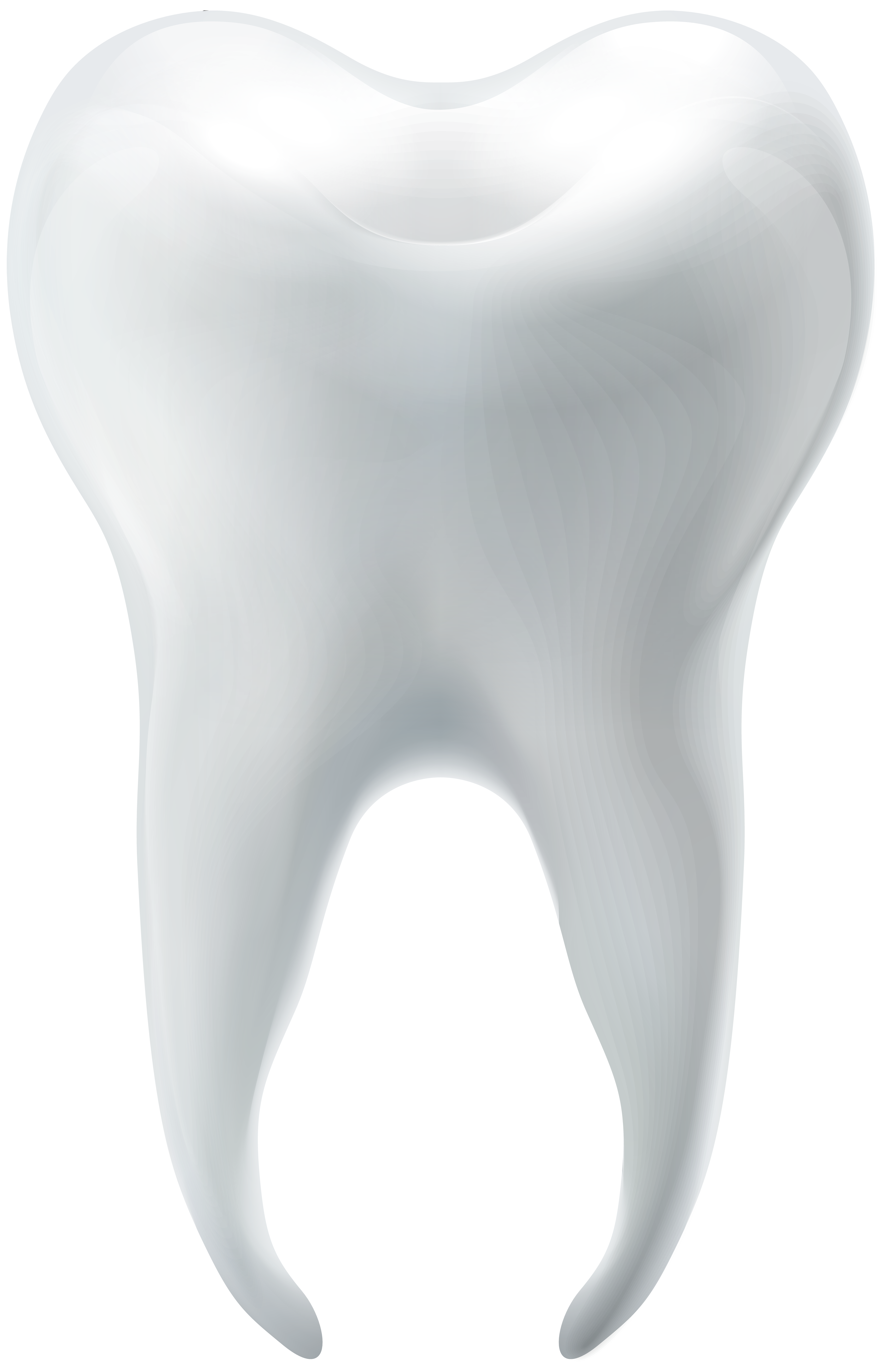 Tooth Clipart Free Download On Clipartmag