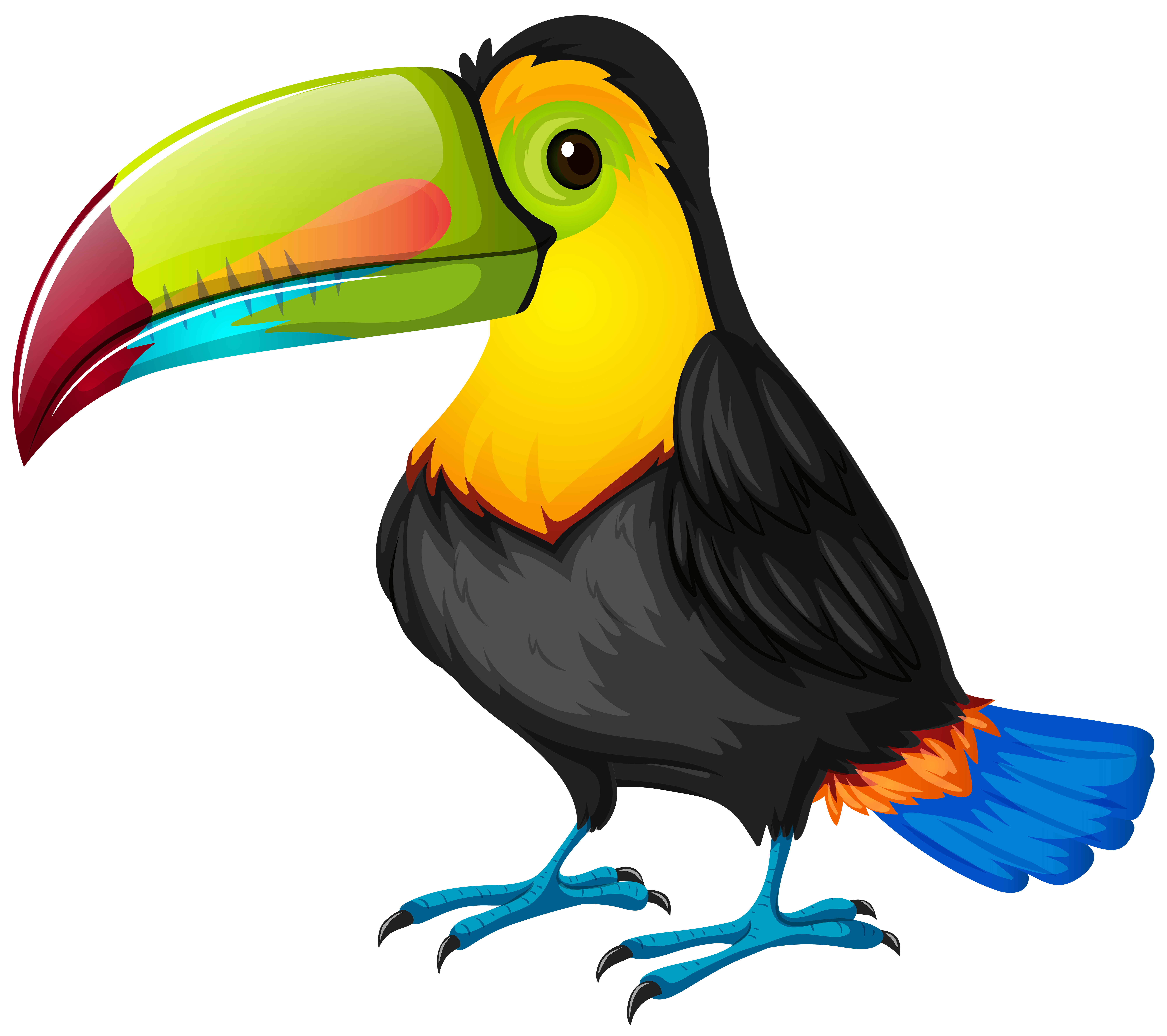 Toucan Bird Clipart | Free download on ClipArtMag