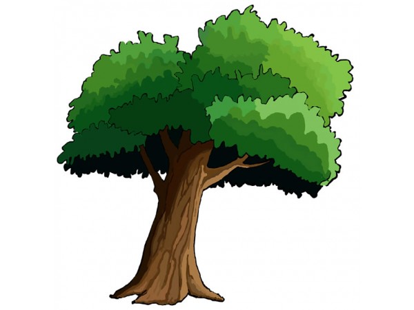 Tree Cartoon Png | Free download on ClipArtMag