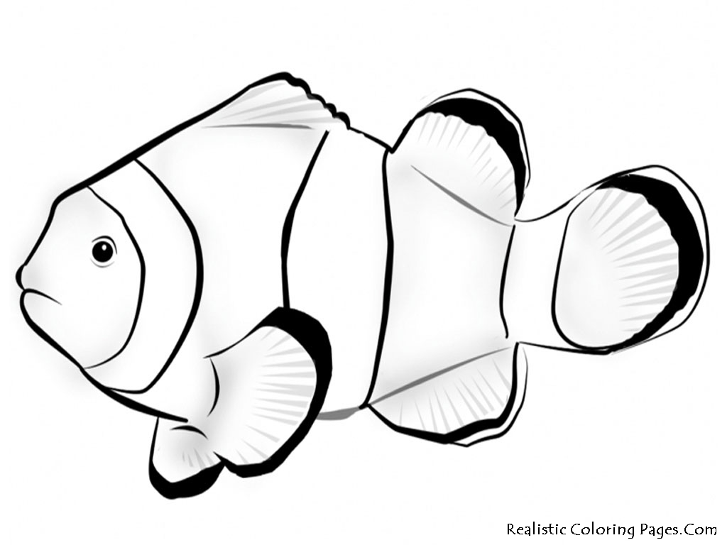 Tropical Fish Coloring Pages | Free download on ClipArtMag
