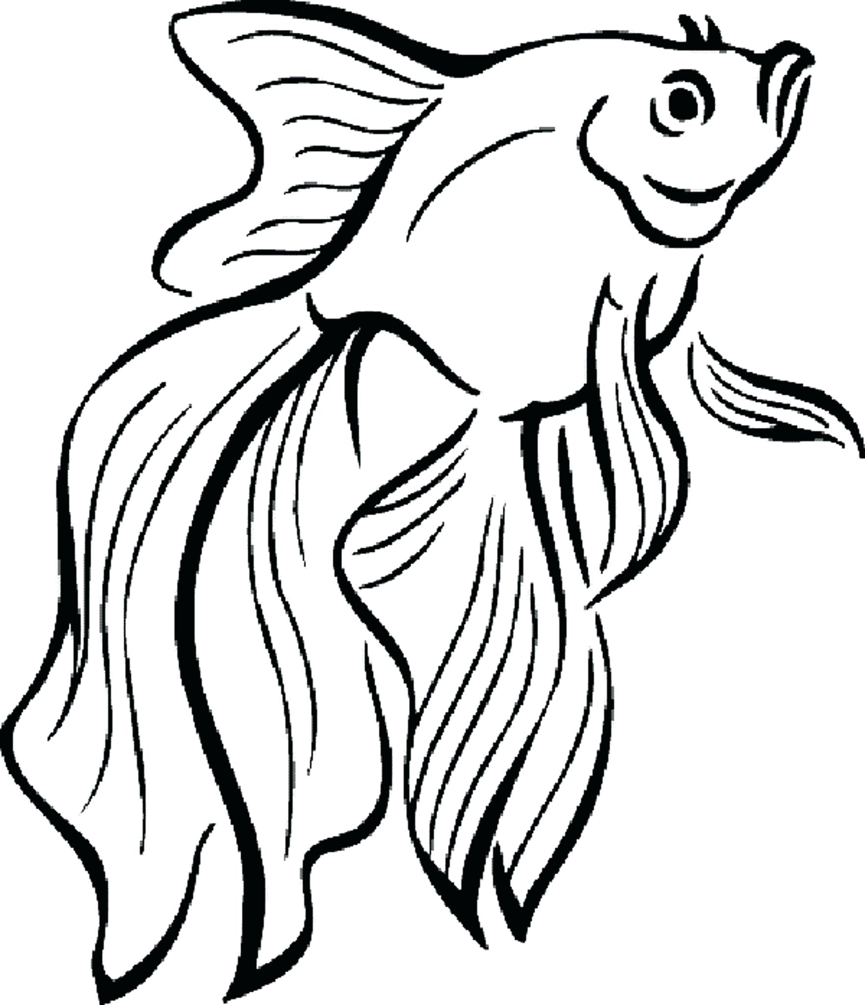 tropical-fish-coloring-pages-free-download-on-clipartmag
