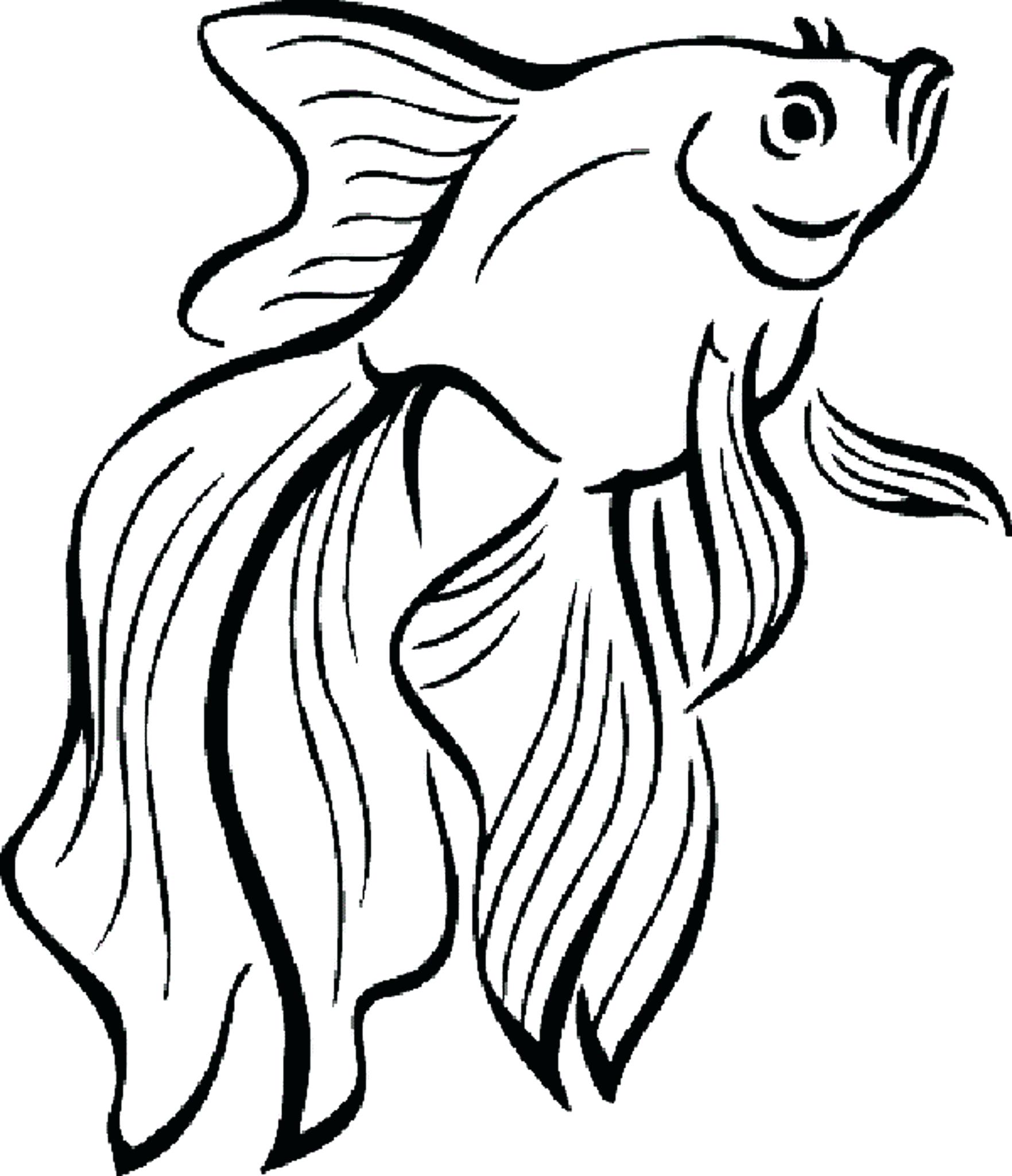 Tropical Fish Coloring Pages Free Download Best Tropical Fish Tropical Fish Coloring Pages Free Download Best Tropical Fish