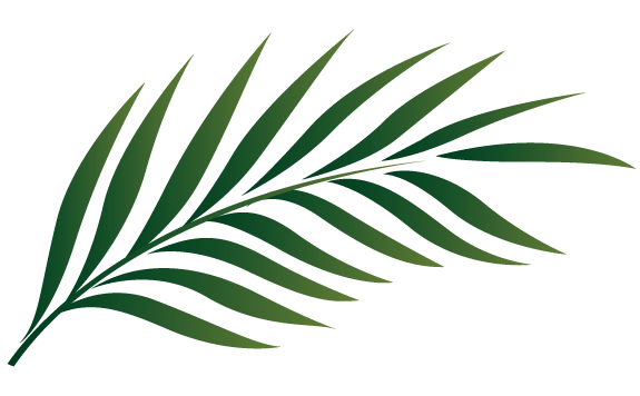 Tropical Leaves Clipart | Free download on ClipArtMag