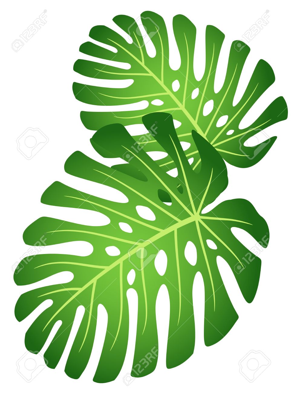 Tropical Leaves Clipart | Free Download On ClipArtMag