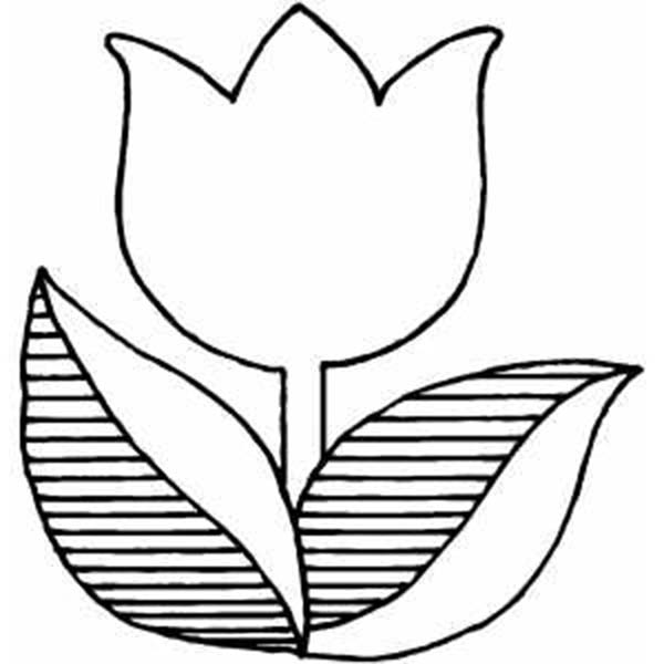 tulip-line-art-free-download-on-clipartmag