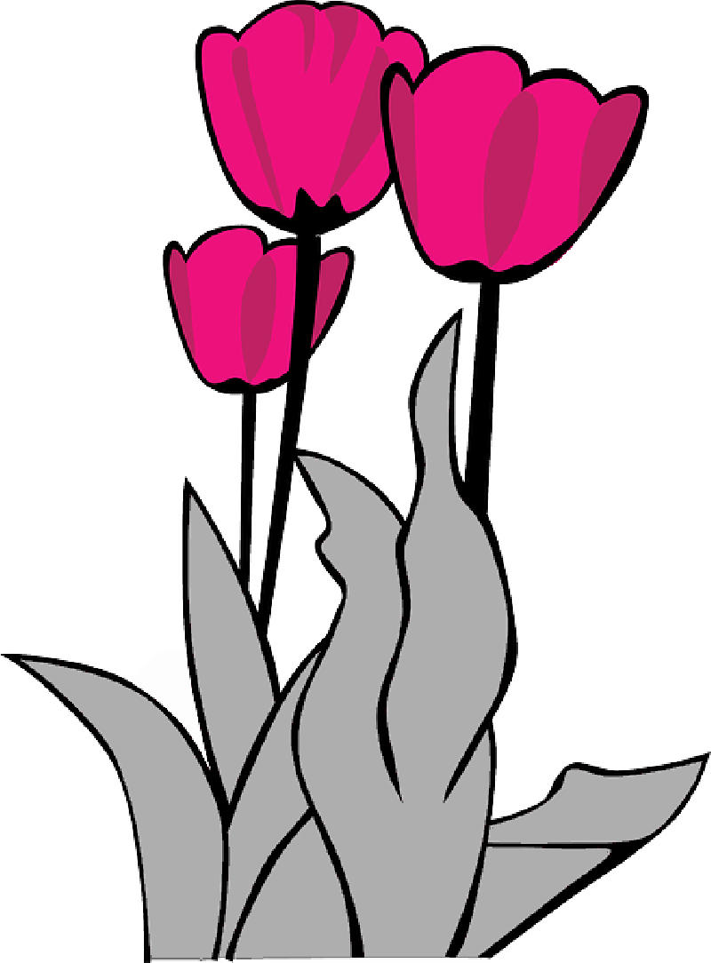 Tulip Outline | Free download on ClipArtMag