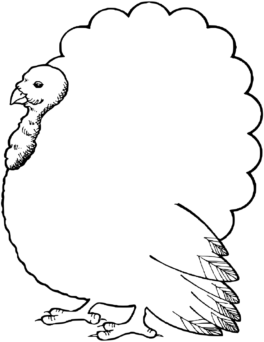 Turkey Outline Free Download On ClipArtMag