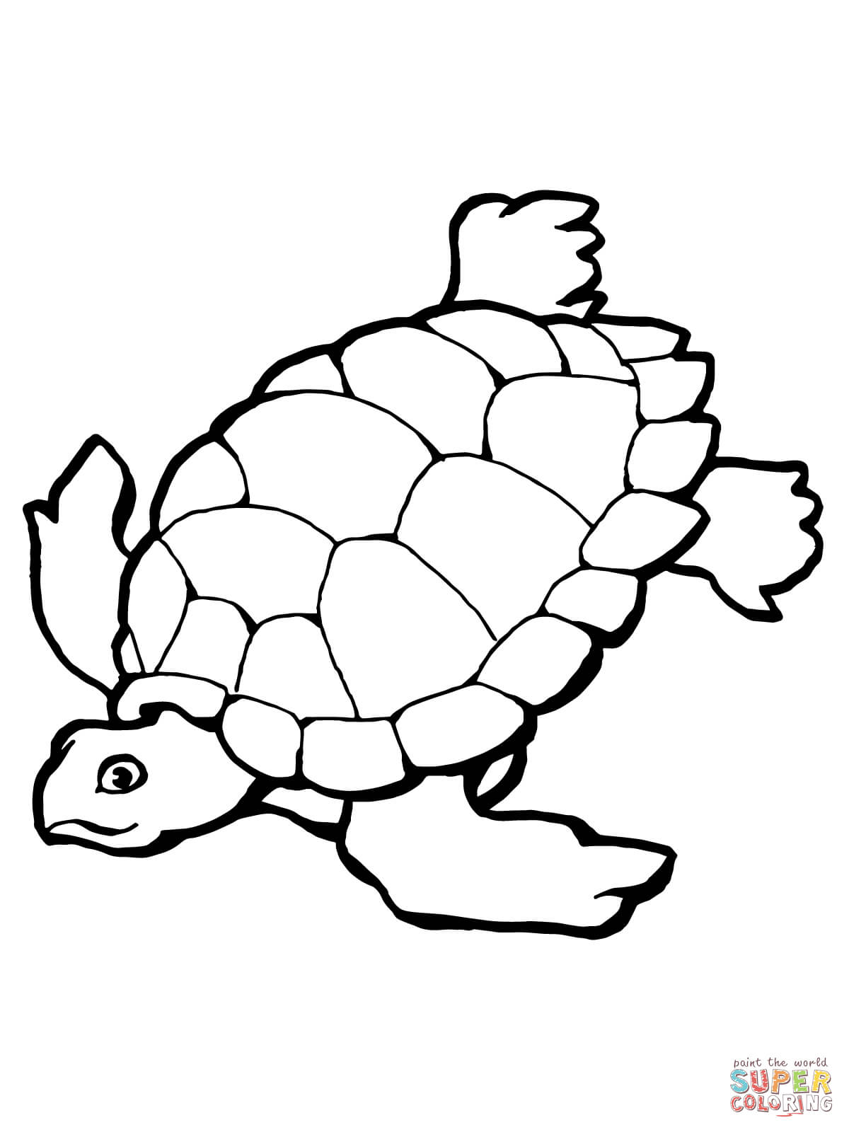 Turtle Coloring Pages Free download on ClipArtMag