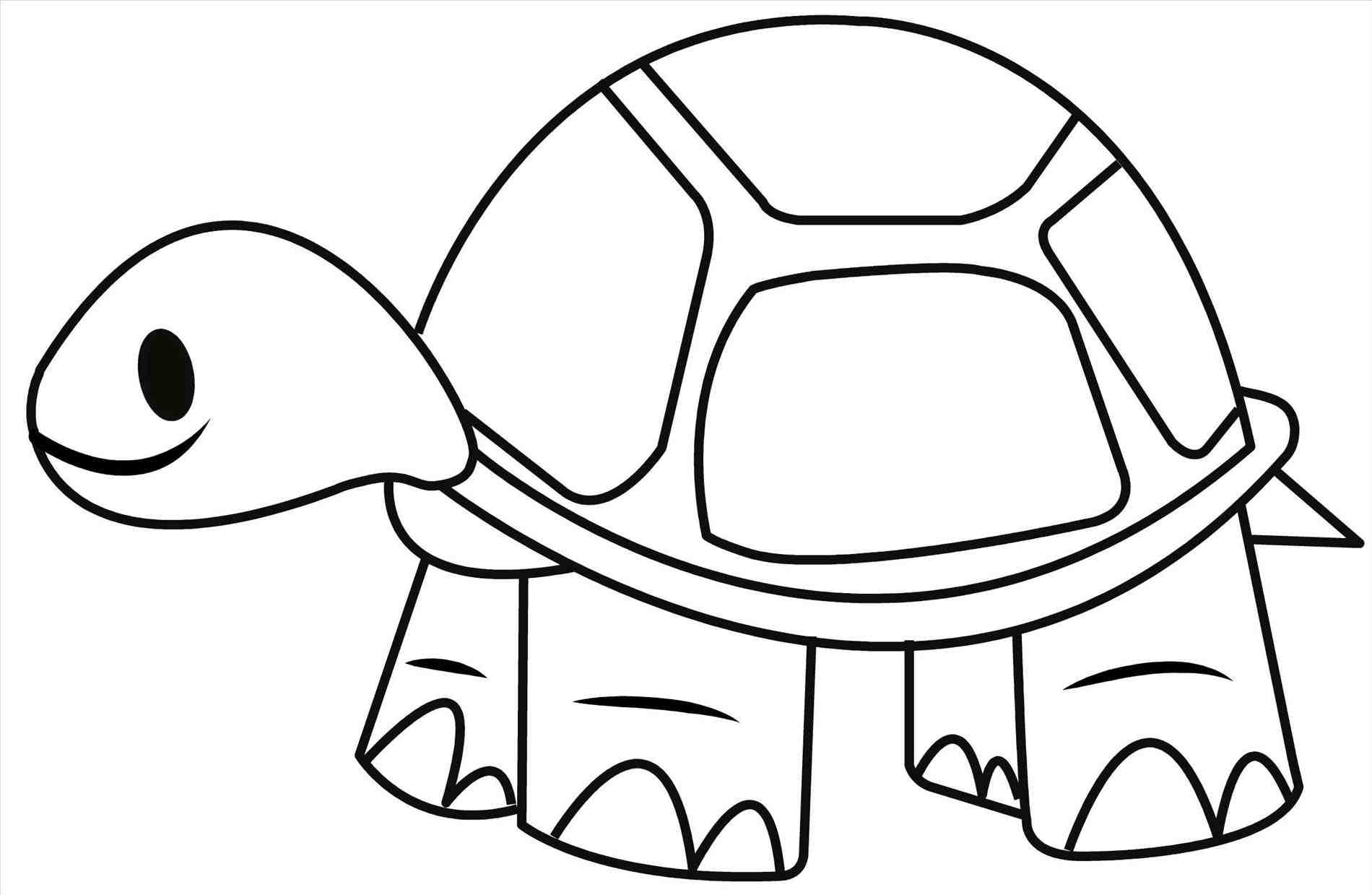 Turtle Drawing Free download on ClipArtMag