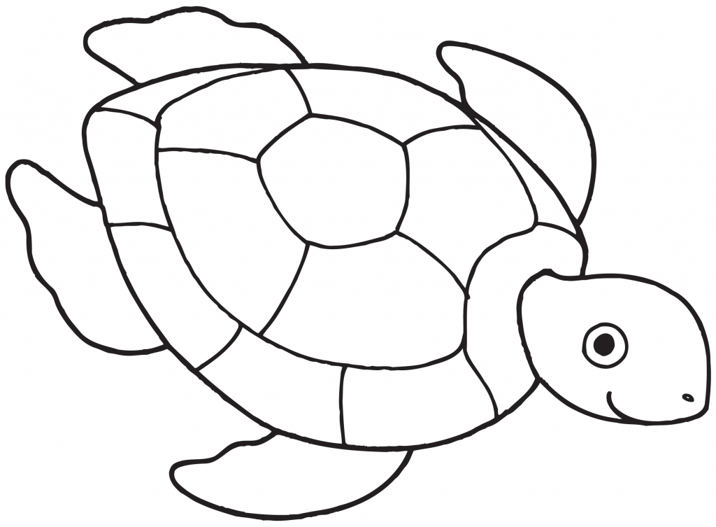 Turtle Outline Free download on ClipArtMag