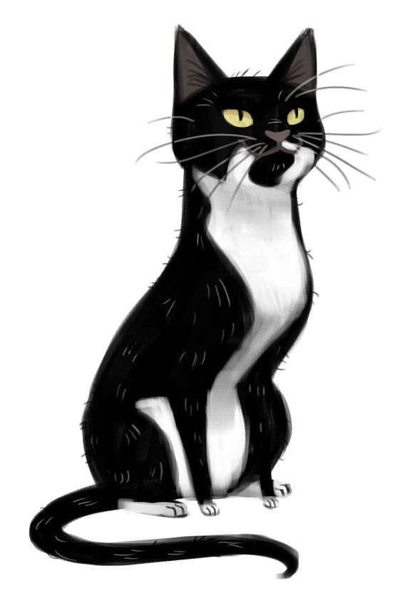 Tuxedo Cat Clipart | Free download on ClipArtMag