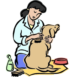 Vet Clipart | Free download on ClipArtMag