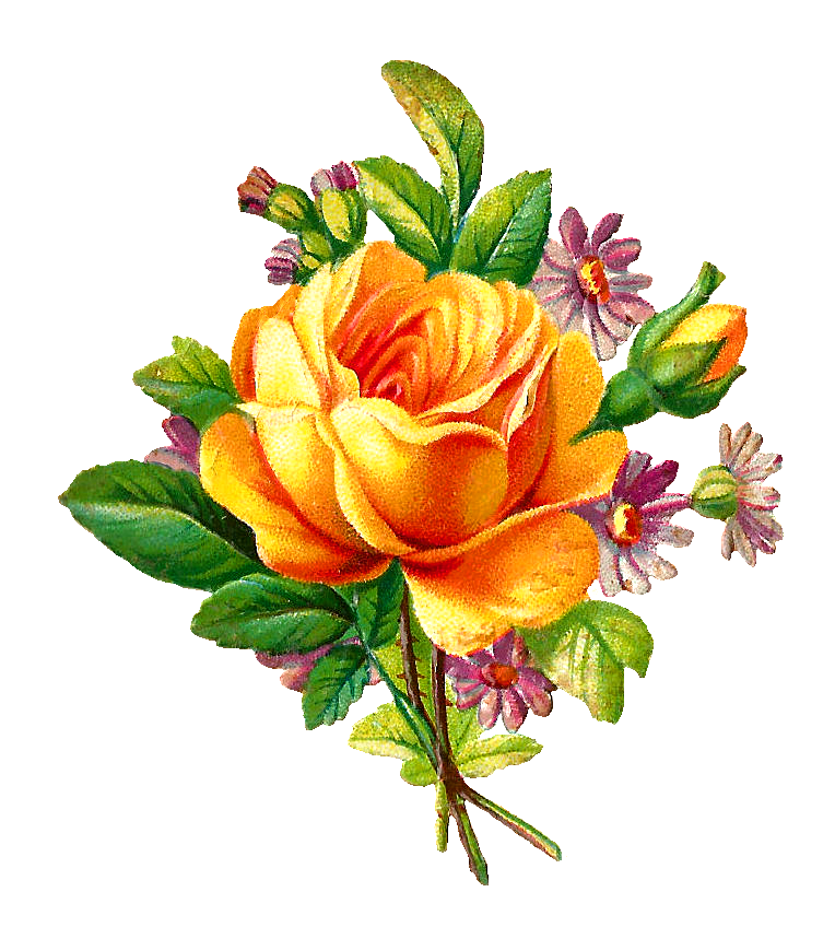 Vintage Rose Clip Art | Free download on ClipArtMag