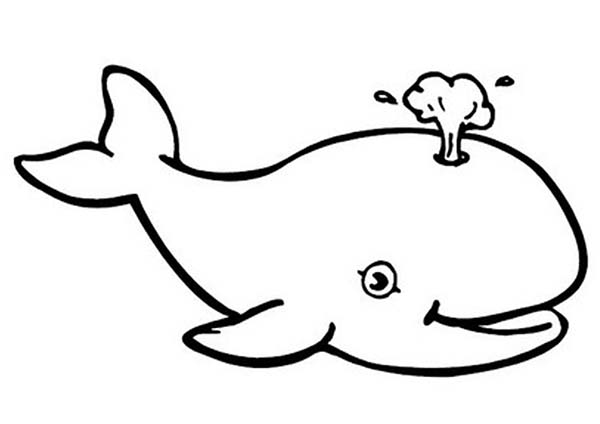 Whale Clipart Black And White | Free download on ClipArtMag