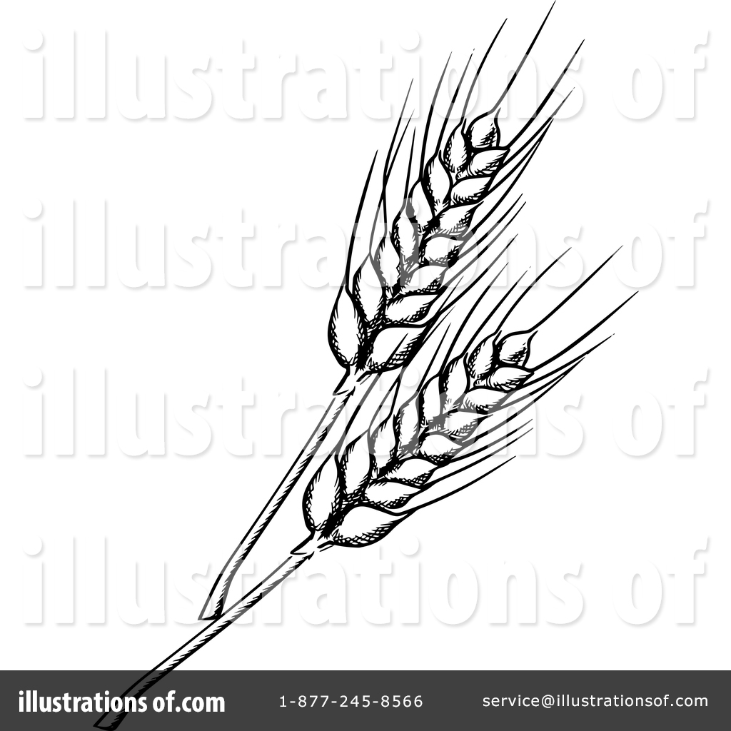 Wheat Clipart Black And White Free download on ClipArtMag