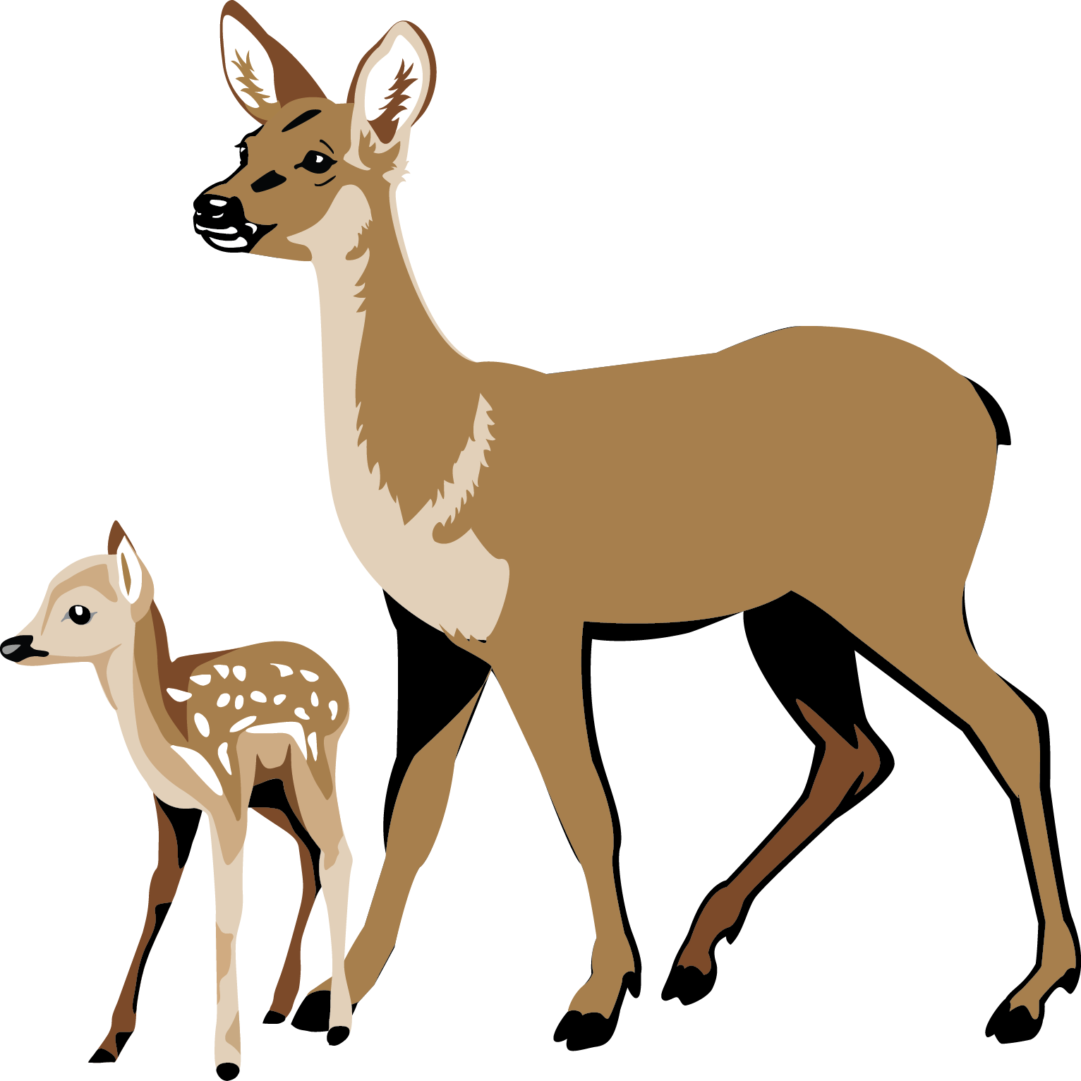 White Tailed Deer Clipart Free download on ClipArtMag
