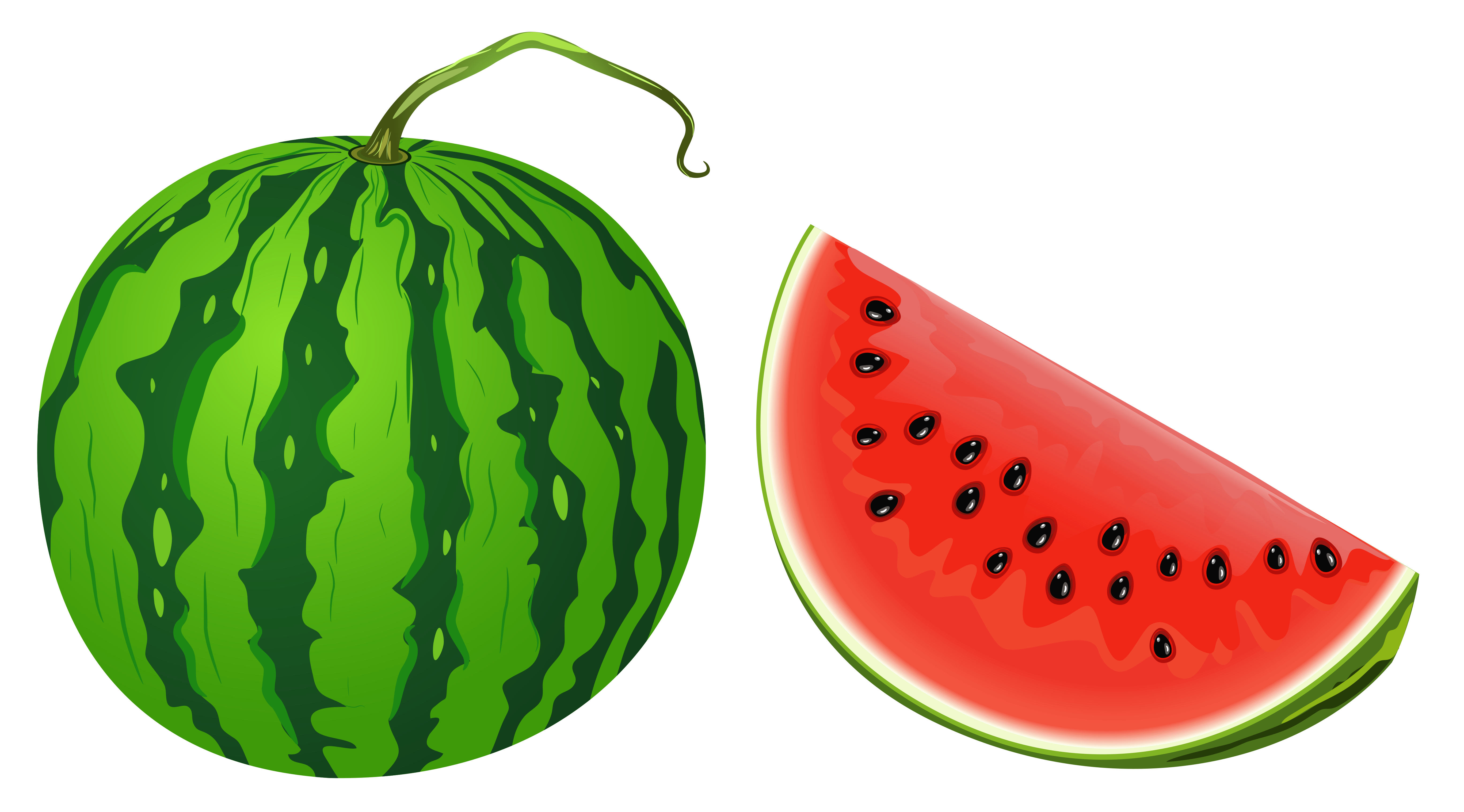 Whole Watermelon Clipart | Free download on ClipArtMag