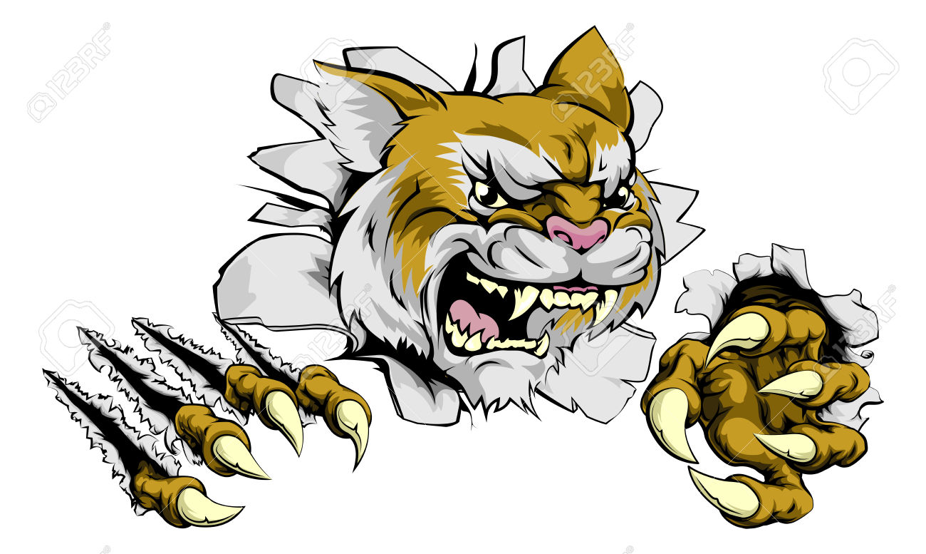 Wildcat Clipart Free | Free download on ClipArtMag