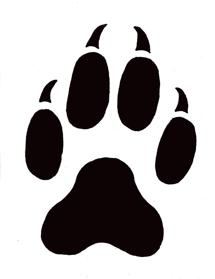 Wildcat Paw Prints Clipart | Free download on ClipArtMag