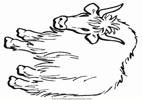 Apollinaire Leanna - Free Coloring Pages: Coloring Pages Yak