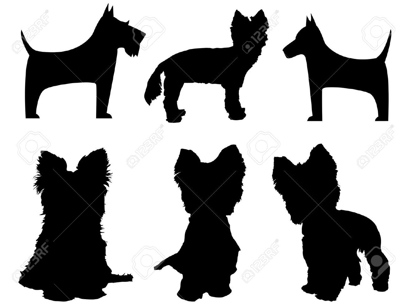 Yorkshire Terrier Cliparts Free Download On Clipartmag