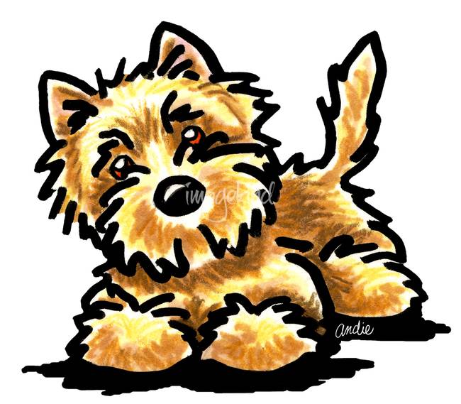 Yorkshire Terrier Cliparts | Free download on ClipArtMag